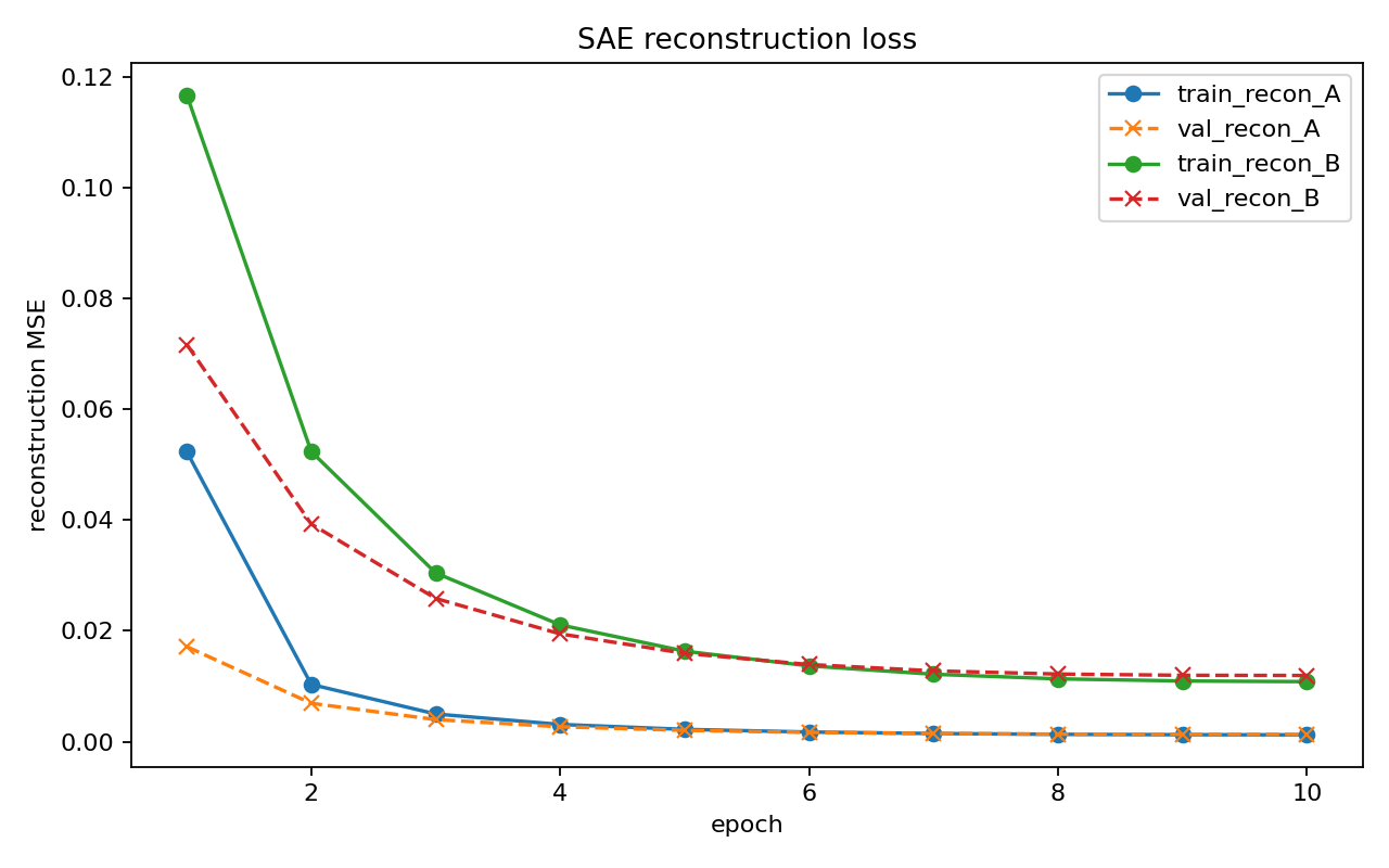 SAE reconstruction loss